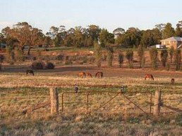 Junee Motor Inn - Accommodation Batemans Bay 2