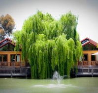 Perricoota Vines Retreat - Accommodation Batemans Bay