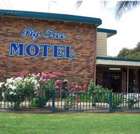 Fig Tree Motel - Accommodation Batemans Bay