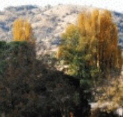 Birches Bed and Breakfast at Nundle - Accommodation Batemans Bay