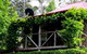 Cedar Creek Vineyard Cottages - thumb 2