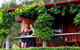 Cedar Creek Vineyard Cottages - thumb 3