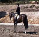 Apptrak Stud - Accommodation Batemans Bay