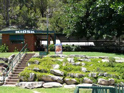 Carinya Ski Ranch - Accommodation Batemans Bay 4