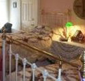 A Winter-Rose Cottage Bed and Breakfast - Accommodation Batemans Bay