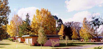 Castlereagh Village Holiday Units - Accommodation Batemans Bay 4