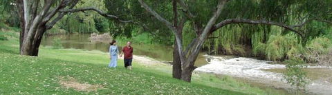 Apex Riverside Tourist Park - Accommodation Batemans Bay 4