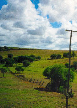 Mango Hill Cottages Bed And Breakfast - Accommodation Batemans Bay 2