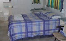 Tiaro Tourist Stopover - Accommodation Batemans Bay 0