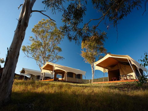 Spicers Canopy - Accommodation Batemans Bay 3