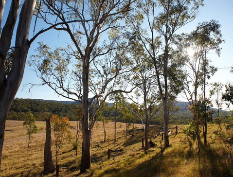 Spicers Canopy - Accommodation Batemans Bay 4