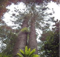 Moorlands Country Retreat - Accommodation Batemans Bay