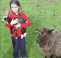Cinnamon Coloureds Farmstay - Accommodation Batemans Bay