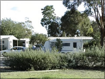 Banksia Tourist Park - Accommodation Batemans Bay 3
