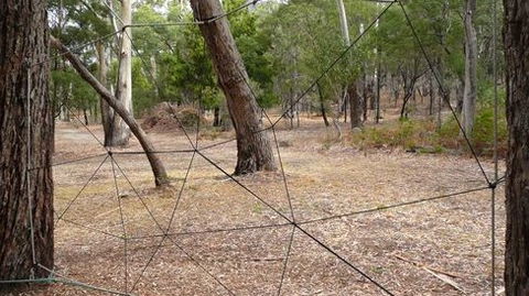 UC Camping Norval - Accommodation Batemans Bay 4