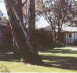 Winbi River Resort - Accommodation Batemans Bay