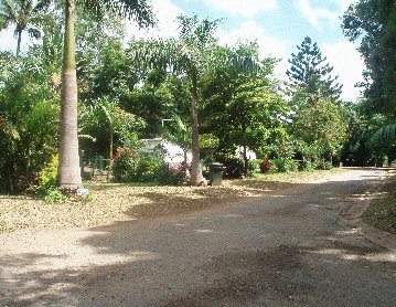 Cape Hillsborough Nature Resort - Accommodation Batemans Bay 4