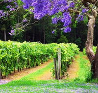 Bago Vineyards - Accommodation Batemans Bay