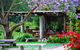 Bago Vineyards - thumb 1