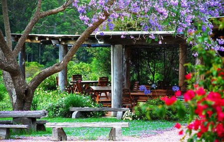 Bago Vineyards - Accommodation Batemans Bay 1