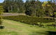 Bago Vineyards - thumb 2