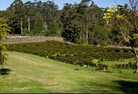 Bago Vineyards - Accommodation Batemans Bay 2
