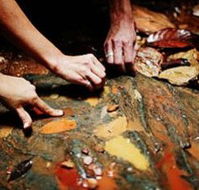 Daintree Eco Lodge And Spa - Accommodation Batemans Bay