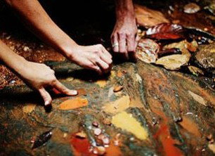 Daintree Eco Lodge And Spa - Accommodation Batemans Bay 0