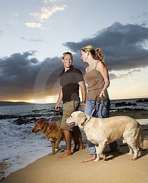Four Seasons Holiday Park - Accommodation Batemans Bay 3