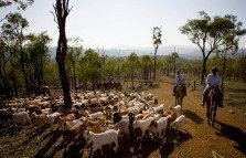 Kroombit Park At Lochenbar Station - Accommodation Batemans Bay 1