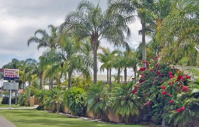 Forster Palms Motel - Accommodation Batemans Bay 2