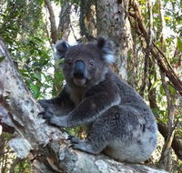 O'Carrollyns At One Mile Beach - Accommodation Batemans Bay