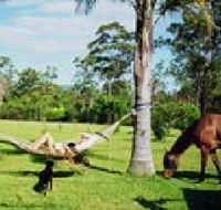Neds Bed Horse O Tel - Accommodation Batemans Bay