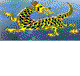 Dragon Phoenix Motel amp Restuarant - Accommodation Batemans Bay