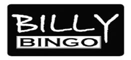 Billy Bingo @ Village Green Hotel - Accommodation Batemans Bay 0