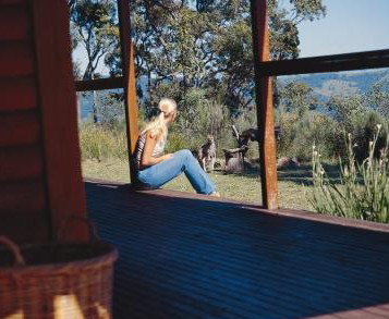 Eaglereach Wilderness Resort - Accommodation Batemans Bay 2