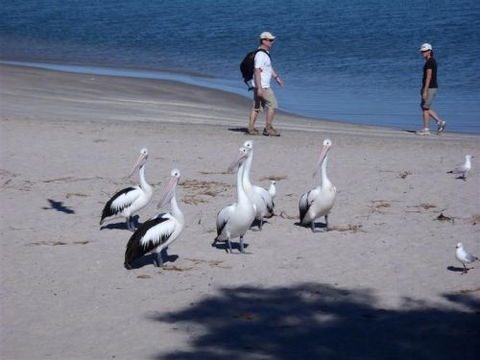 Kalbarri Accommodation Service - Accommodation Batemans Bay 5