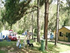 Glasshouse Mountains Holiday Village - Accommodation Batemans Bay 0