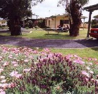 Brigadoon Holiday Units - Accommodation Batemans Bay