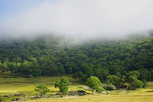 Deepwater NSW Accommodation Batemans Bay