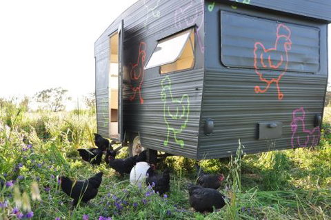 Girragirra Retreat - Accommodation Batemans Bay 6