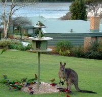 Gipsy Point Lakeside - Accommodation Batemans Bay