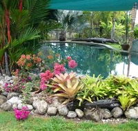 Daintree Wild Bed And Breakfast - Accommodation Batemans Bay