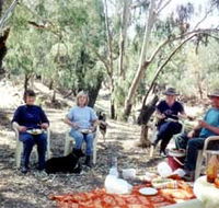 Bimbimbi And Little Hollow Farm Stay - Accommodation Batemans Bay