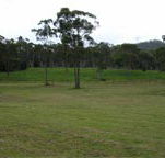 Mt White Lodge - Accommodation Batemans Bay