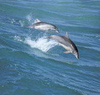 Seachange - Accommodation Batemans Bay
