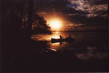 Lake Weyba Cottages Noosa - Accommodation Batemans Bay 12