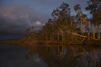 Lake Weyba Cottages Noosa - Accommodation Batemans Bay 27