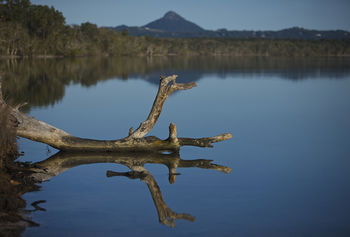 Lake Weyba Cottages Noosa - Accommodation Batemans Bay 28