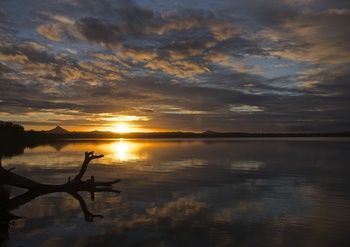 Lake Weyba Cottages Noosa - Accommodation Batemans Bay 33